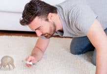 ¿Qué es la alergia a los ácaros del polvo? alergia a los ácaros del polvo