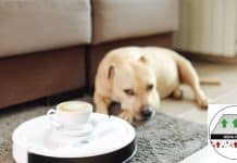 Comparativa robot aspiradora con filtro HEPA Comparativa robot aspiradora con filtro HEPA