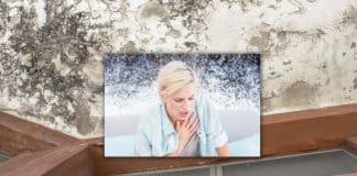 Respirar moho por humedad ¿Qué alergias? respirar moho por humedad