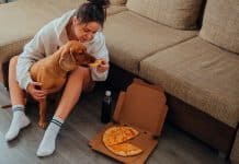 Como alimentar a mi perro sin preocuparme mucho Como alimentar a mi perro