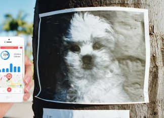 Como localizar a un perro perdido también con la tecnología como localizar a un perro perdido