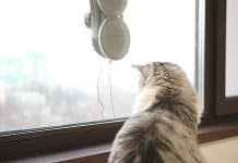 Robot Limpiacristales Robot Limpiacristales Aliexpress