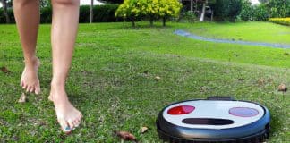 Cómo cuidar el césped y mantener el pasto verde y sano Cómo cuidar el césped