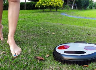 Cómo cuidar el césped y mantener el pasto verde y sano Cómo cuidar el césped