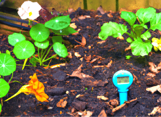 La humedad del suelo es importante para tus plantas humedad del suelo