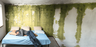 ¡No quiero dormir con moho! ¿Se puede eliminar? dormir con moho
