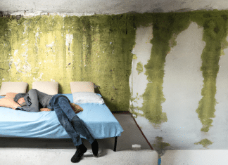 ¡No quiero dormir con moho! ¿Se puede eliminar? dormir con moho