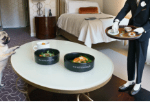 Cómo cuidar a un perro: todo lo que necesitas saber como cuidar a un perro