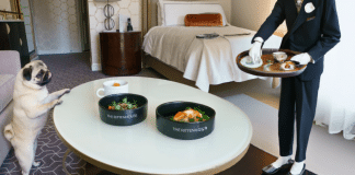 Cómo cuidar a un perro: todo lo que necesitas saber como cuidar a un perro