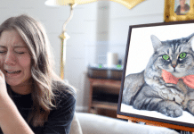 Puede un gato perdido volver a casa: Descubre cómo ayudarlo puede un gato perdido volver a casa