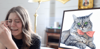 Puede un gato perdido volver a casa: Descubre cómo ayudarlo puede un gato perdido volver a casa