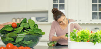 Sostenibilidad y tecnología en casa: Huerto doméstico inteligente huerto doméstico inteligente