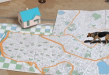 El misterio tras la habilidad de los perros que saben volver a casa los perros saben volver a casa