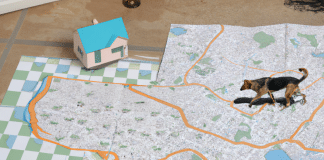 El misterio tras la habilidad de los perros que saben volver a casa los perros saben volver a casa