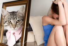 Mi gato se perdió y estoy muy triste: Cómo actuar en esta situación mi gato se perdió y estoy muy triste