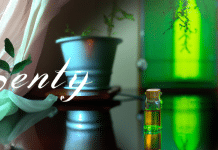 El aceite de ciprés: un aliado para la belleza y el cuidado de la piel