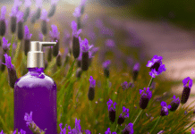 Aprende para qué sirve el aceite esencial de lavanda y cómo relaja Para qué sirve el aceite esencial de lavanda