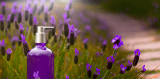 Aprende para qué sirve el aceite esencial de lavanda y cómo relaja Para qué sirve el aceite esencial de lavanda