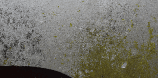 Descubre cómo curar la humedad en las paredes de forma efectiva y económica