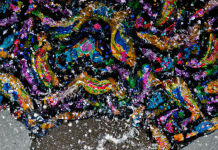 Desafío superado: Cómo quitar el moho de la ropa de color sin dañarla como quitar el moho de la ropa de color