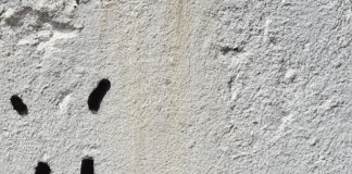 La guía definitiva: cómo quitar manchas de humedad en paredes pintadas como quitar manchas de humedad en paredes pintadas