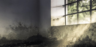 Consejos prácticos: cómo sacar el olor a humedad de la casa fácilmente como sacar el olor a humedad de la casa