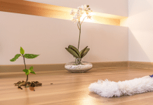 Lo que necesitas saber sobre cómo trapear el piso de madera cómo trapear el piso de madera