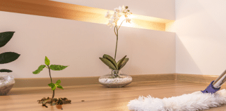 Lo que necesitas saber sobre cómo trapear el piso de madera cómo trapear el piso de madera