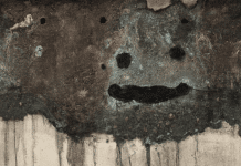 Cómo eliminar el hongo de humedad en la pared: Una guía paso a paso hongo de humedad en la pared