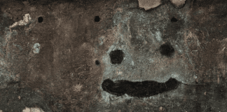 Cómo eliminar el hongo de humedad en la pared: Una guía paso a paso hongo de humedad en la pared