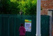 ¡Se me perdió mi perro! ¿Cómo encontrarlo? Aprende las mejores estrategias para resolver este angustiante problema se me perdio mi perro como encontrarlo Guía Completa para Encontrar Mascotas Perdidas: Estrategias Efectivas en Vecindarios y Redes Sociales