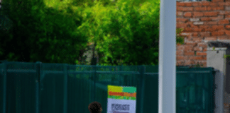 ¡Se me perdió mi perro! ¿Cómo encontrarlo? Aprende las mejores estrategias para resolver este angustiante problema se me perdio mi perro como encontrarlo Guía Completa para Encontrar Mascotas Perdidas: Estrategias Efectivas en Vecindarios y Redes Sociales