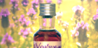 Descubre por qué el aceite de verbena es la solución perfecta para tu bienestar: conoce para qué sirve para qué sirve el aceite de verbena Descubre el poder de la naturaleza con nuestro aceite de verbena: alivio muscular, digestión saludable y relajación total