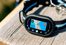 Descubre qué es un Collar GPS para Perros: Tecnología, Funcionamiento, Características y Beneficios para la Seguridad de tu Mascota Qué es un collar GPS para perros Collar de Perro Inteligente con GPS La Mejor Herramienta para la Seguridad y Libertad de tu Mascota al Aire Libre