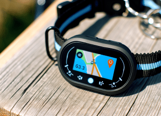 Descubre qué es un Collar GPS para Perros: Tecnología, Funcionamiento, Características y Beneficios para la Seguridad de tu Mascota Qué es un collar GPS para perros Collar de Perro Inteligente con GPS La Mejor Herramienta para la Seguridad y Libertad de tu Mascota al Aire Libre