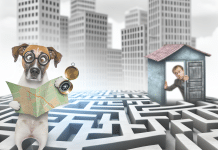 Por qué se pierden los perros: Guía exhaustiva para entender y prevenir la pérdida de tu amigo canino porque se pierden los perros Prevención y Recuperación de Perros Perdidos Navegando el Laberinto Urbano con Mapa y Brújula