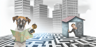 Por qué se pierden los perros: Guía exhaustiva para entender y prevenir la pérdida de tu amigo canino porque se pierden los perros Prevención y Recuperación de Perros Perdidos Navegando el Laberinto Urbano con Mapa y Brújula