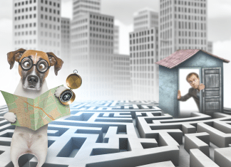 Por qué se pierden los perros: Guía exhaustiva para entender y prevenir la pérdida de tu amigo canino porque se pierden los perros Prevención y Recuperación de Perros Perdidos Navegando el Laberinto Urbano con Mapa y Brújula