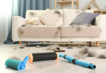 Técnicas Prácticas y Efectivas para Quitar Pelos de Perro en el Hogar quitar pelos de perro Guía Práctica para Quitar Pelos de Perro Mantén tu Hogar Limpio y Acogedor