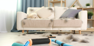 Técnicas Prácticas y Efectivas para Quitar Pelos de Perro en el Hogar quitar pelos de perro Guía Práctica para Quitar Pelos de Perro Mantén tu Hogar Limpio y Acogedor