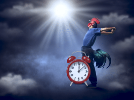 Conquista el amanecer: ¿Cómo despertar temprano y potenciar tu productividad? cómo despertar temprano Despertar a las 5 AM Conquista el Amanecer para Potenciar tu Productividad