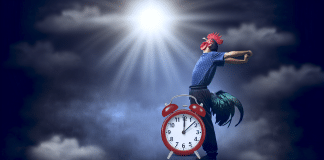 Conquista el amanecer: ¿Cómo despertar temprano y potenciar tu productividad? cómo despertar temprano Despertar a las 5 AM Conquista el Amanecer para Potenciar tu Productividad