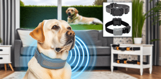 El Mejor Collar Antiladridos Automático: Análisis Comparativo y Guía de Adiestramiento Canino collar antiladrido Comparativa de collares antiladridos Tecnología avanzada para un perro tranquilo y contento