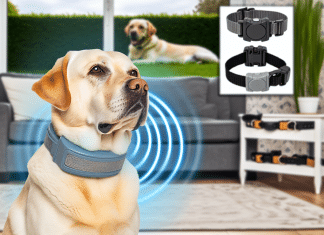 El Mejor Collar Antiladridos Automático: Análisis Comparativo y Guía de Adiestramiento Canino collar antiladrido Comparativa de collares antiladridos Tecnología avanzada para un perro tranquilo y contento