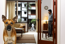 Perro Ladra Mucho: Causas, Consecuencias y Soluciones Efectivas para un Hogar en Armonía perro ladra mucho Soluciones para el ladrido excesivo Cómo mejorar la convivencia con tu perro en un hogar tranquilo