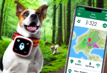 Top 10 Mejores Rastreadores GPS para Perros: Análisis Comparativo y Guía de Compra rastreador GPS para perro Top 10 rastreadores GPS para perros 2021 Seguridad y control en tiempo real para tu mascota