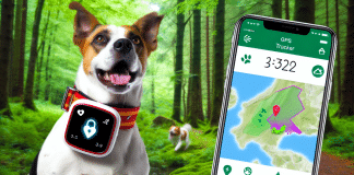 Top 10 Mejores Rastreadores GPS para Perros: Análisis Comparativo y Guía de Compra rastreador GPS para perro Top 10 rastreadores GPS para perros 2021 Seguridad y control en tiempo real para tu mascota