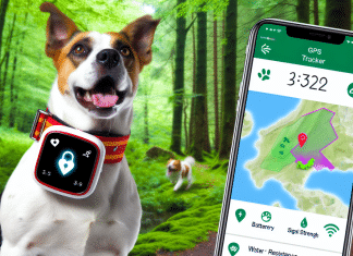 Top 10 Mejores Rastreadores GPS para Perros: Análisis Comparativo y Guía de Compra rastreador GPS para perro Top 10 rastreadores GPS para perros 2021 Seguridad y control en tiempo real para tu mascota