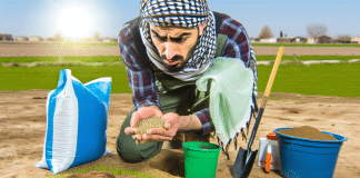 Plantar Césped con Semillas: Método Profesional Paso a Paso plantar césped con semillas Descubre el Secreto del Jardinero Apasionado Transforma tu Terreno con el Método Profesional de Plantar Césped con Semillas Paso a Paso