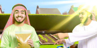 Primera Vez Plantando Césped: Guía Completa para Principiantes sembrar césped adecuadamente guía completa Guía completa para principiantes en la siembra de césped Transforma tu jardín desordenado en un exuberante prado verde con éxito y confianza